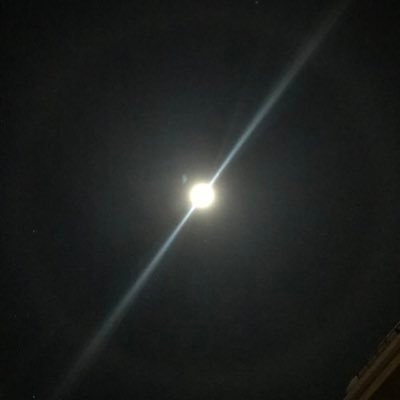 Nisenagi_May's profile picture. イーハトーヴのモリーオ生れ