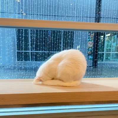 Engg_onjira's profile picture. 