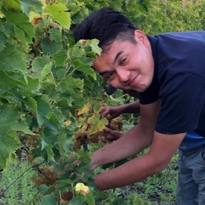 イタリアレストランでワインサービスを6年間🍷その後、単身でイタリアに渡り、各地のワイン生産者の元を訪ね👩🌾🍇 今はSNS、YouTubeを中心に「身体に染み渡るワインの魅力」の発信を2年以上続けています🙇♂️