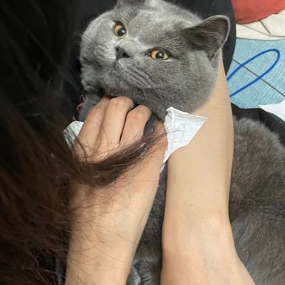 wenke02463593's profile picture. 有点无趣