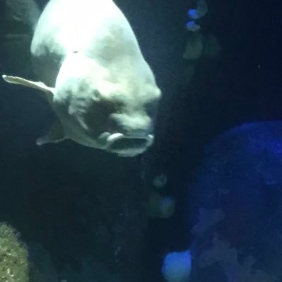 hello__jade's profile picture. 😑🥺