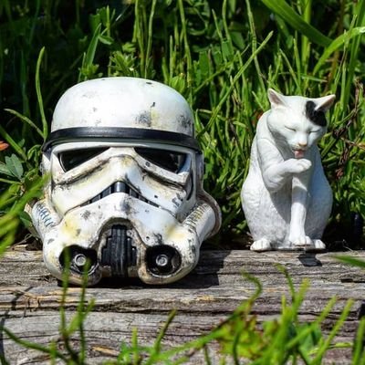 りっくさんのプロフィール画像
