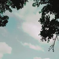 A M E L I A (@ameliayesi1) 's Twitter Profile