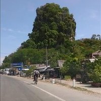 Small Van ❤️ Memecoin (@smallvan3) 's Twitter Profile
