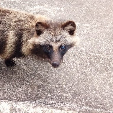 モデル撮影など趣味にしているアマカメラマン。
秋田県。