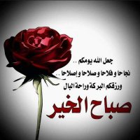 Chawki Nachef (@nachef_chawki) 's Twitter Profile