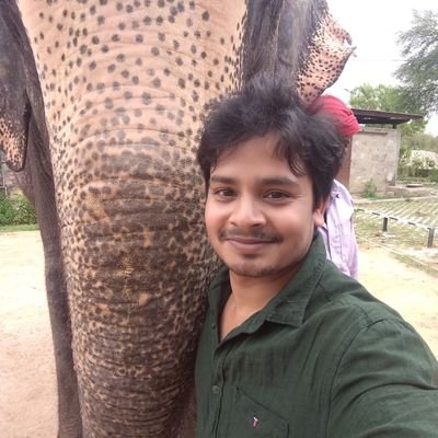 AI Consultant @ Big Vision