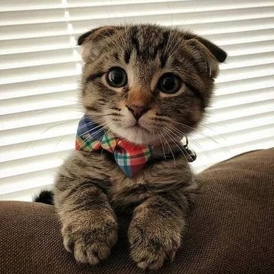 TmvqdS89tTGFrW6's profile picture. 