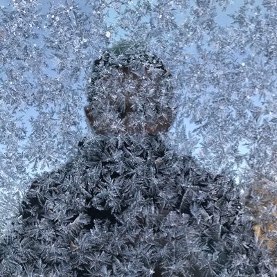 shukiremitci's profile picture. 