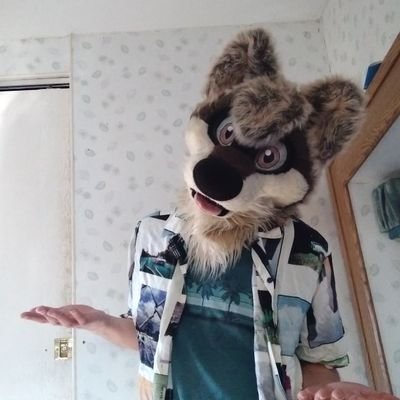 Male.24.Furry. YouTuber. likes pizza. kinda a nerd. 🎹 🎸
