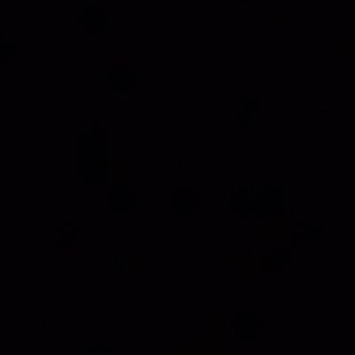 imrealavimaju's profile picture. #bitcoin