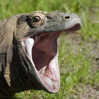 Impulse (@impulse1290) 's Twitter Profile