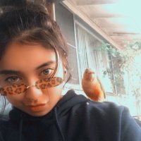 T✨ (@tatumn_perreira) 's Twitter Profile
