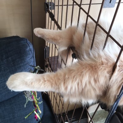 nakhirpon's profile picture. 大学生息子(弓道男子)と小学生娘(HISA推し)持ちの平凡な40代HISAオタ医療従事者(猫吸い)。日々精進が目標。GLAY、B’zの身体に響く系好き。1996/05初LIVEからずっとHAPPY SWINGER。#GLAY