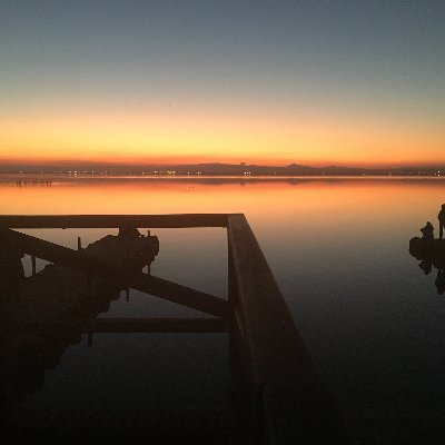 golegateras's profile picture. 