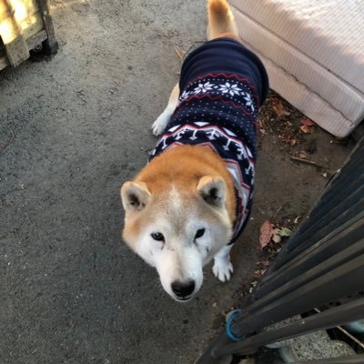 taka2281968's profile picture. 