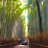 緑のまなっこ🌿のTwitterプロフィール画像