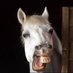 lolaremedhorse (@lolaremedhorse) Twitter profile photo lolaremedhorse (@lolaremedhorse) Twitter profile photo