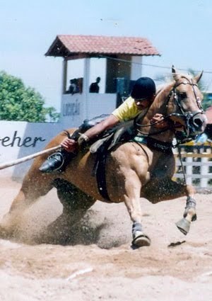 Netim_Magalhaes's profile picture. Louco por Vaquejada,Solteiro,do signo de Aries,Cavaleiro do Grupo de Vaquejada Bié Filho-Ce'