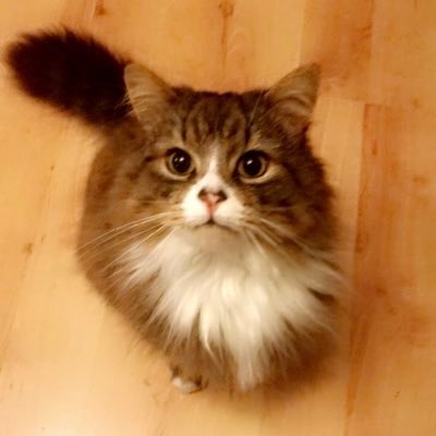 weeoniell's profile picture. 