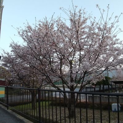 V81vmVnqJdcHlrF's profile picture. 🗻根さん▶🌟山さん▶竹🌴さん▶😯場さん▶❸宮▶なほっち▶️自分 合言葉は「かりばいきーん👋」