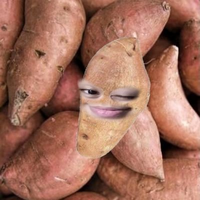 proudjen_'s profile picture. Psikolog mahal jadi biarkan w ngeluh disini