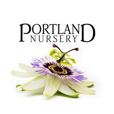 Family owned, community focused nursery dedicated to horticultural excellence, education, & customer satisfaction since 1907. #portlandnursery