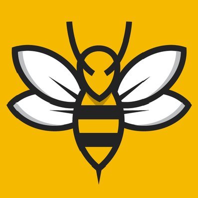 CultHornets's profile picture. Dedicated to the Watford FC players who signed for the club, played a maximum of 10 games, and then were never seen again #WatfordFC #culthornets