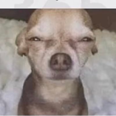 WhatAre01272253's profile picture. I’m a fan of dogs, coffee, comedy and plantains. Also no offense to Jordan fans but Lebron is the GOAT, because of facts.