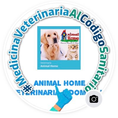 Animal Home Veterinaria (MV. Alejandra Rios)