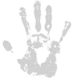 voluntarios's profile picture. 