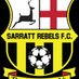 Sarratt Rebels Youth FC (@fcsarratt) Twitter profile photo Sarratt Rebels Youth FC (@fcsarratt) Twitter profile photo