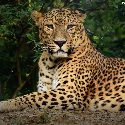 lindasm05025758's profile picture. 