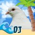 Paloma Dove (@peacecritterz) Twitter profile photo Paloma Dove (@peacecritterz) Twitter profile photo