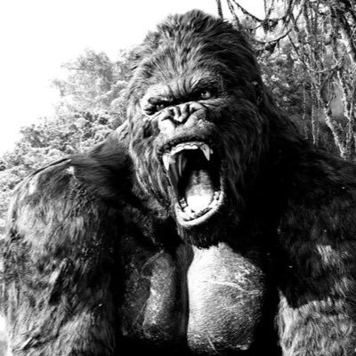 AlphaMode3's profile picture. Finis votre ancienne version de vous où vous étiez des salopes , je vais vous faire devenir un Alpha