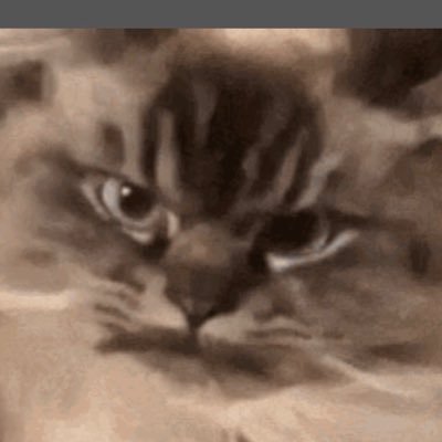 BisouBi42094847's profile picture. Reformed Liberal. #trump for life