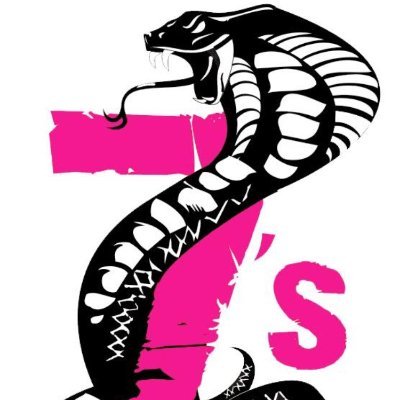 🐍 UK-based Rugby 7s side - Est. 2010. For sponsorship opportunities please contact: cobrasrugby@gmail.com 🐍