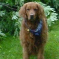 Eileen Sawyer (@reywas2000) 's Twitter Profile
