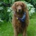 Eileen Sawyer (@reywas2000) Twitter profile photo Eileen Sawyer (@reywas2000) Twitter profile photo