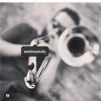 Seckin Ozmutlu (@ozmutlutrb) 's Twitter Profile
