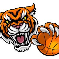 Lancaster Girls Basketball (@girls_lancaster) 's Twitter Profile