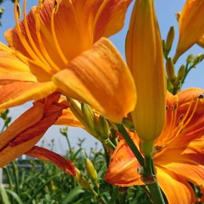 spicegirl6's profile picture. Travel / Write /Speak /Do You /Take those pictures you want to take /Make that impact you want to make /Show the art you create /Lift up