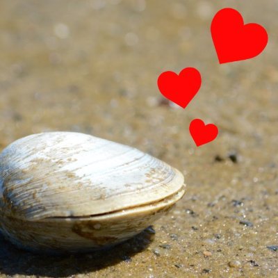 ClamDate's profile picture. Clams date, too.