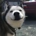 TimberWolf (@timberw65194103) Twitter profile photo TimberWolf (@timberw65194103) Twitter profile photo