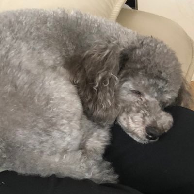 ゆきのおと あーそれもあるんだけどなんかむずむず脚症候群 って奴らしくてめちゃくちゃ痒いんだよね 薬も飲んでるんだけどなかなか ありがとう こういう時はつびちゃんの妄想に限るぜ は ゆきのおと あーそれもあるんだけどなんかむずむず脚症候群 って奴らしくてめちゃくちゃ痒いんだよね 薬も飲んでるんだけどなかなか ありがとう こういう時はつびちゃんの妄想に限るぜ は
