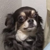 jaqma (@jakuma507) Twitter profile photo