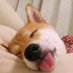 test (@booooobbbbboooo) Twitter profile photo test (@booooobbbbboooo) Twitter profile photo