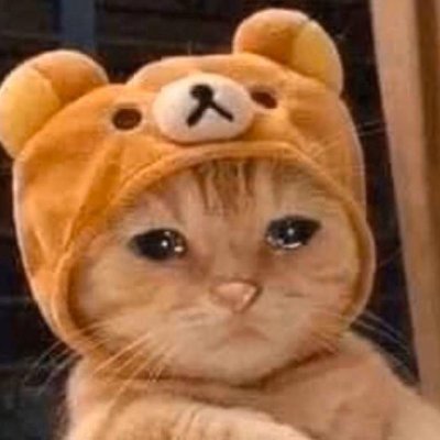 collyflower05's profile picture. Hobbyist programmer. 20 yrs old.