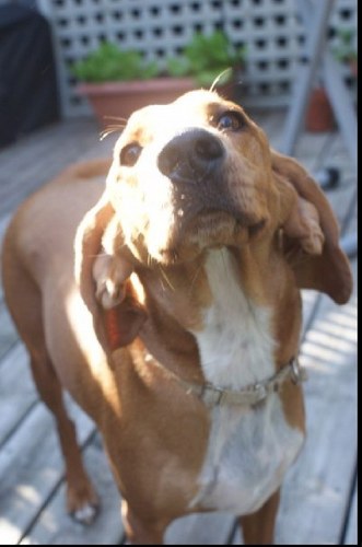 t4dude's profile picture. 