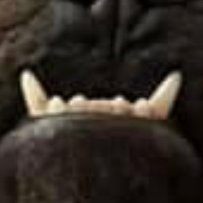 MoonRocket99's profile picture. crypto is life